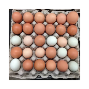 Brown Table Chicken Egg for Sale | Cobb 500