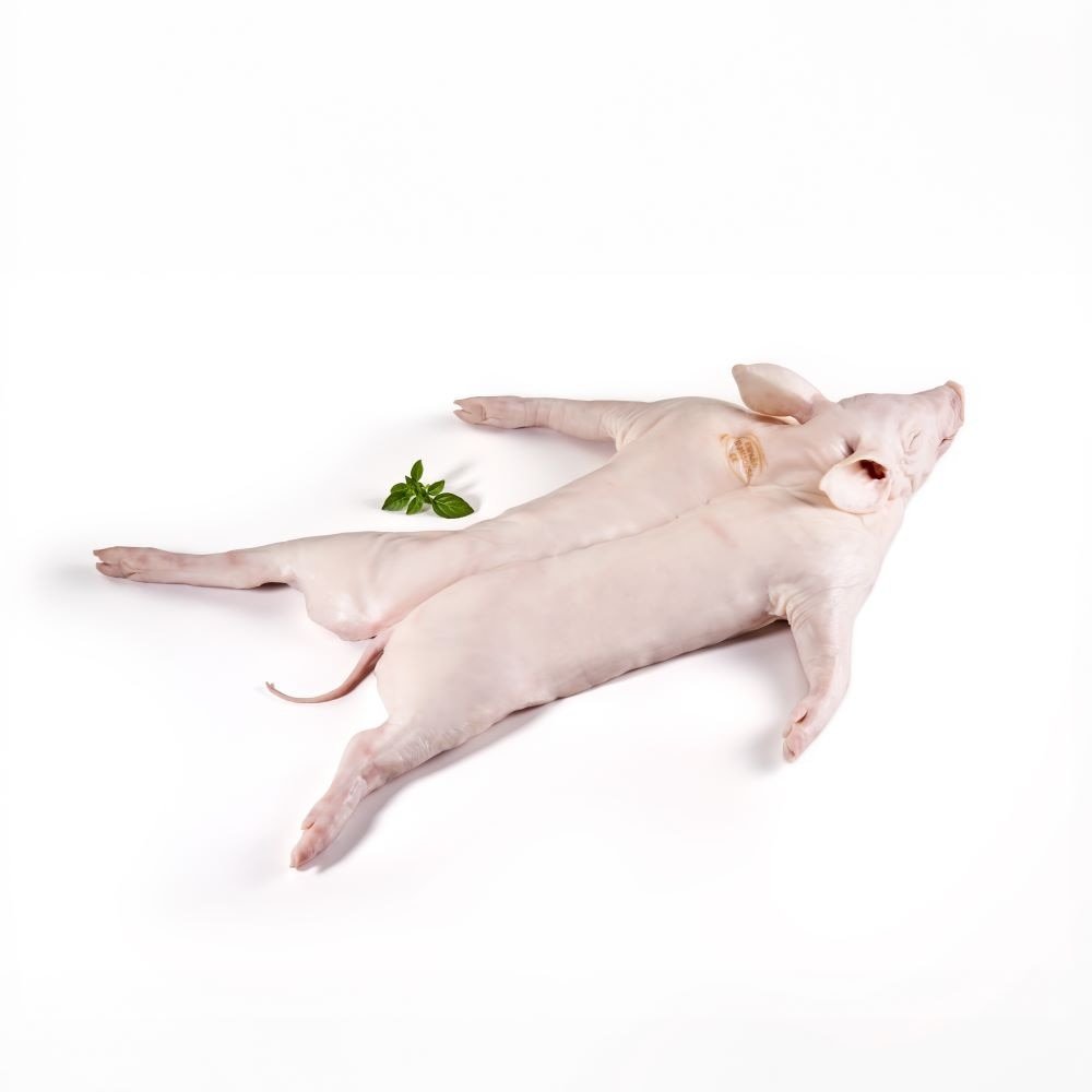 Buy Suckling Pig (6.5-9lb) Online | Premium Quality